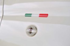 画像2: Tricolor Emblem for FIAT/ABARTH (2)